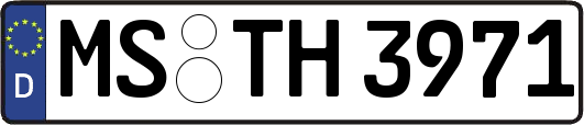 MS-TH3971