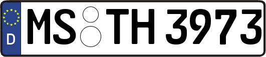 MS-TH3973
