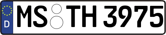 MS-TH3975