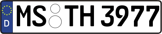 MS-TH3977