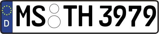 MS-TH3979