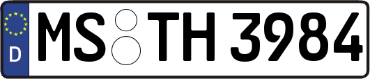MS-TH3984
