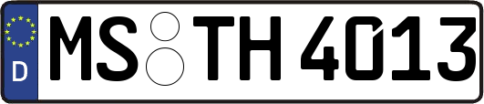 MS-TH4013