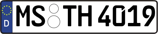 MS-TH4019