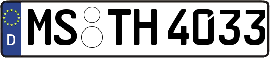 MS-TH4033