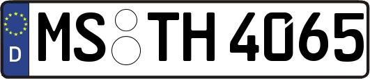 MS-TH4065