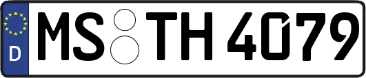 MS-TH4079