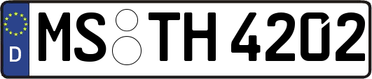 MS-TH4202