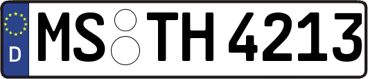 MS-TH4213