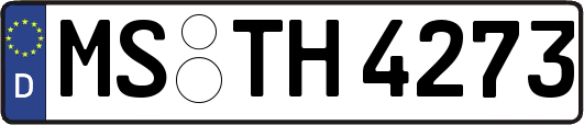 MS-TH4273