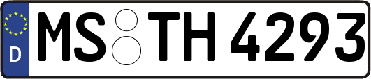 MS-TH4293