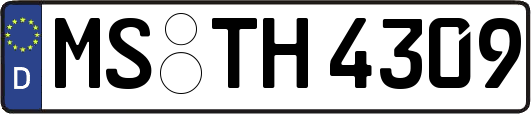 MS-TH4309