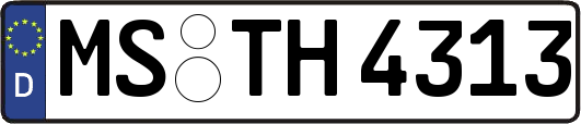 MS-TH4313