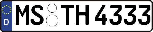 MS-TH4333