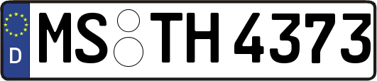 MS-TH4373