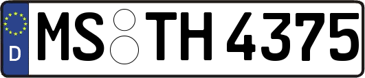 MS-TH4375