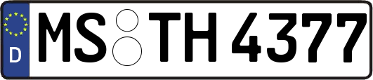 MS-TH4377