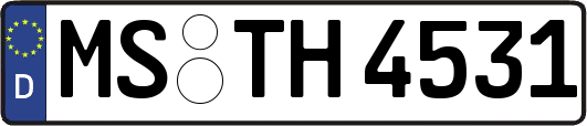 MS-TH4531