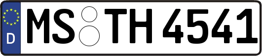 MS-TH4541
