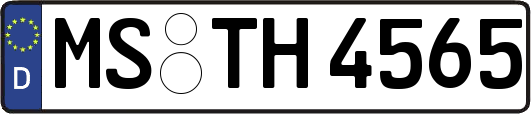 MS-TH4565