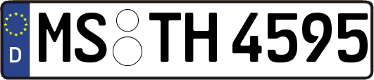 MS-TH4595