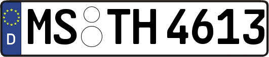 MS-TH4613