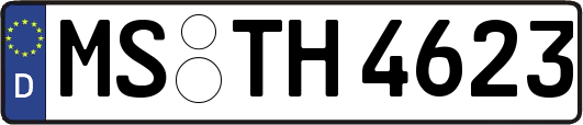 MS-TH4623