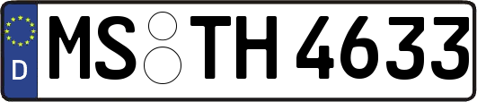 MS-TH4633