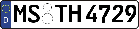 MS-TH4729