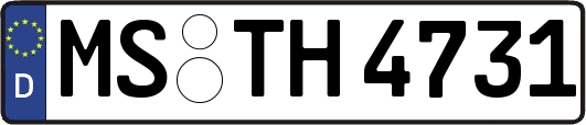 MS-TH4731