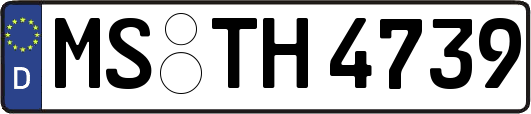 MS-TH4739