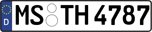 MS-TH4787