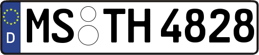MS-TH4828
