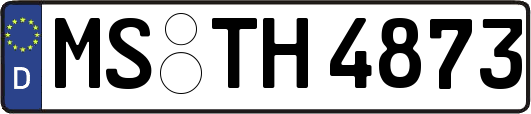 MS-TH4873