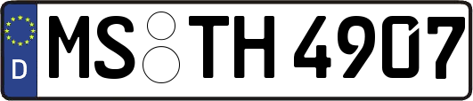 MS-TH4907