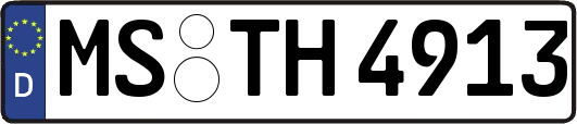 MS-TH4913