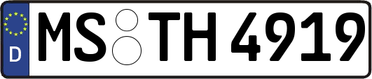 MS-TH4919
