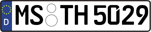 MS-TH5029