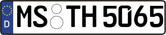 MS-TH5065
