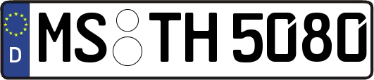 MS-TH5080