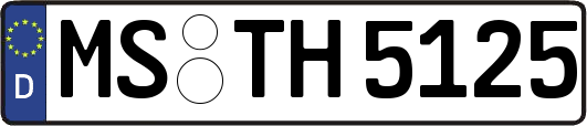 MS-TH5125