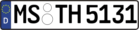 MS-TH5131