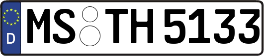 MS-TH5133