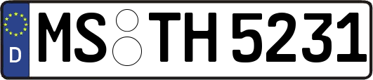 MS-TH5231