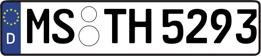 MS-TH5293