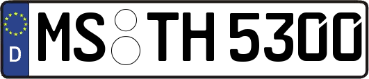 MS-TH5300