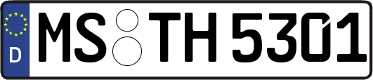 MS-TH5301