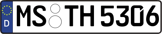 MS-TH5306