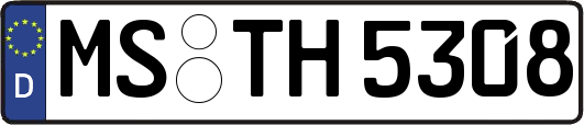 MS-TH5308
