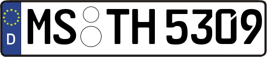 MS-TH5309